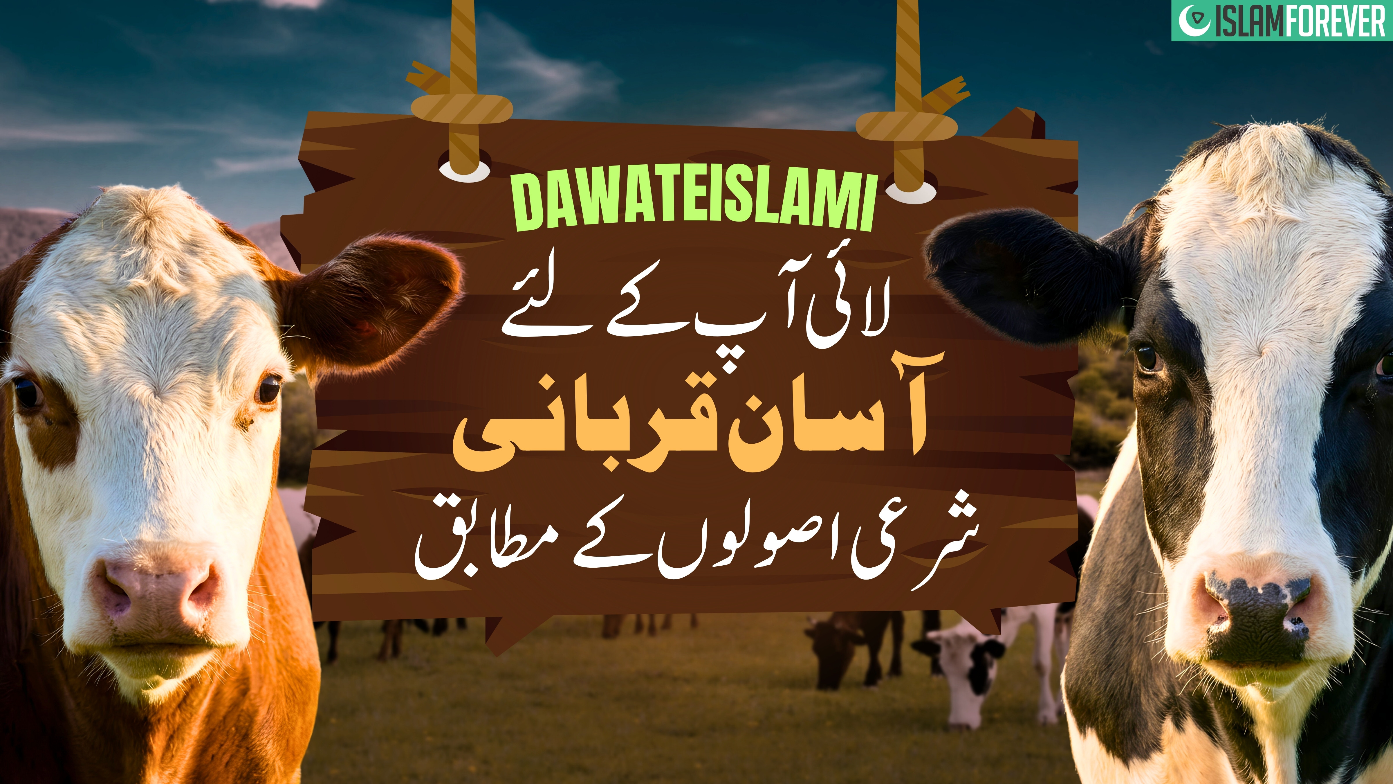 Aasan Qurbani | Islamic Guidance | Dawat-e-Islami